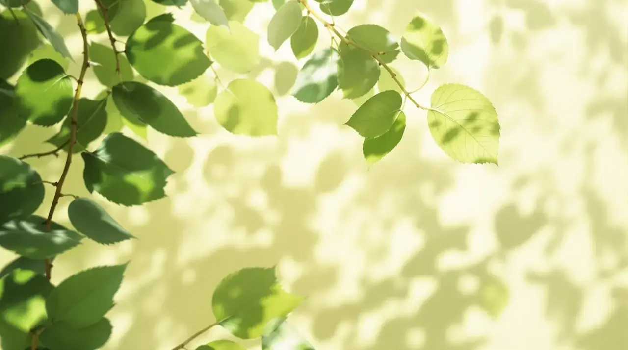 绿瓤影厅·夏梦放映 - 66影视 绿瓤影厅·夏梦放映